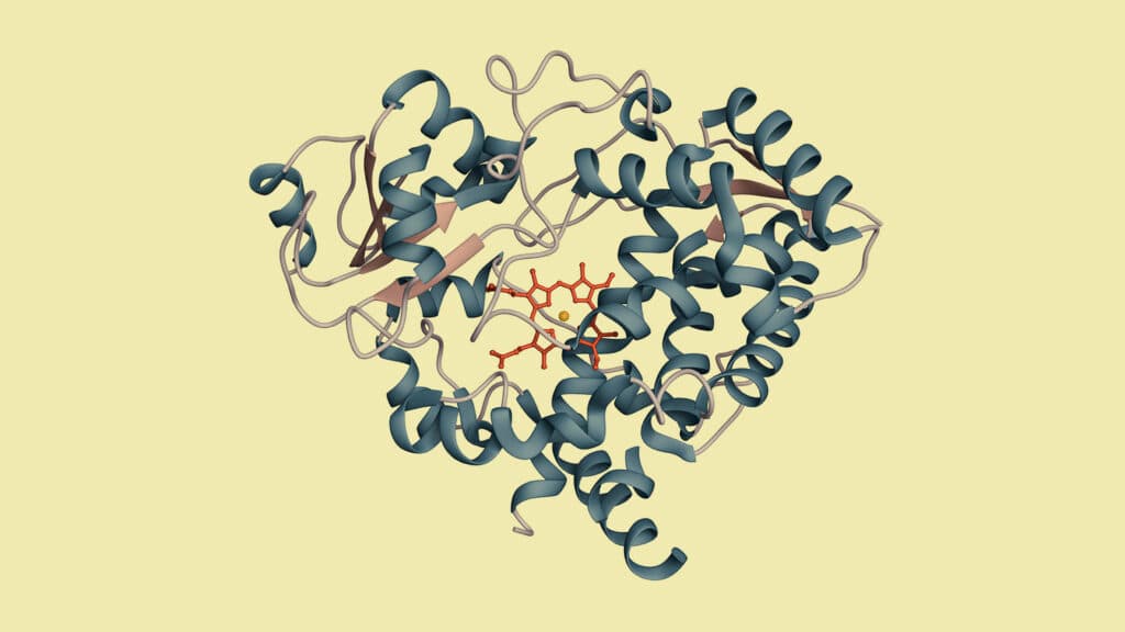 STAT+: Drug metabolism AI competition results show that bigger may not always be better